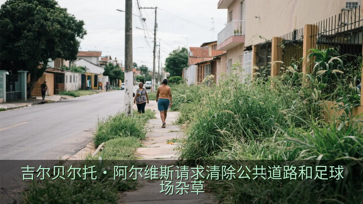 吉尔贝尔托·阿尔维斯请求清除公共道路和足球场杂草